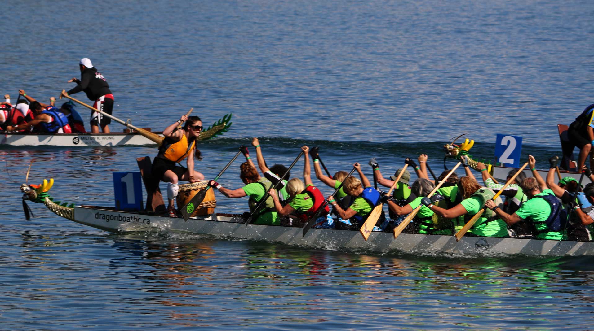 Welcome to the 2019 <br /><strong>Harrison Dragon Boat Regatta</strong> <br />Registration Open!